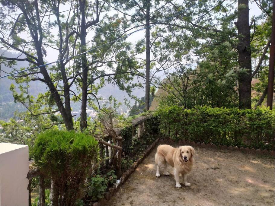 Whistling Thrush Cottage, Bhimtal Nainital Buitenkant foto