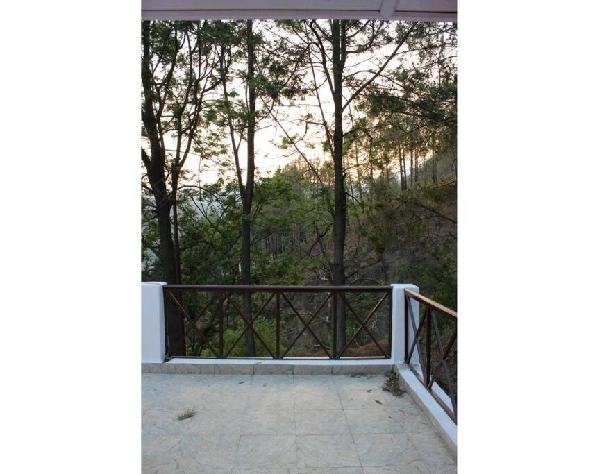 Whistling Thrush Cottage, Bhimtal Nainital Buitenkant foto